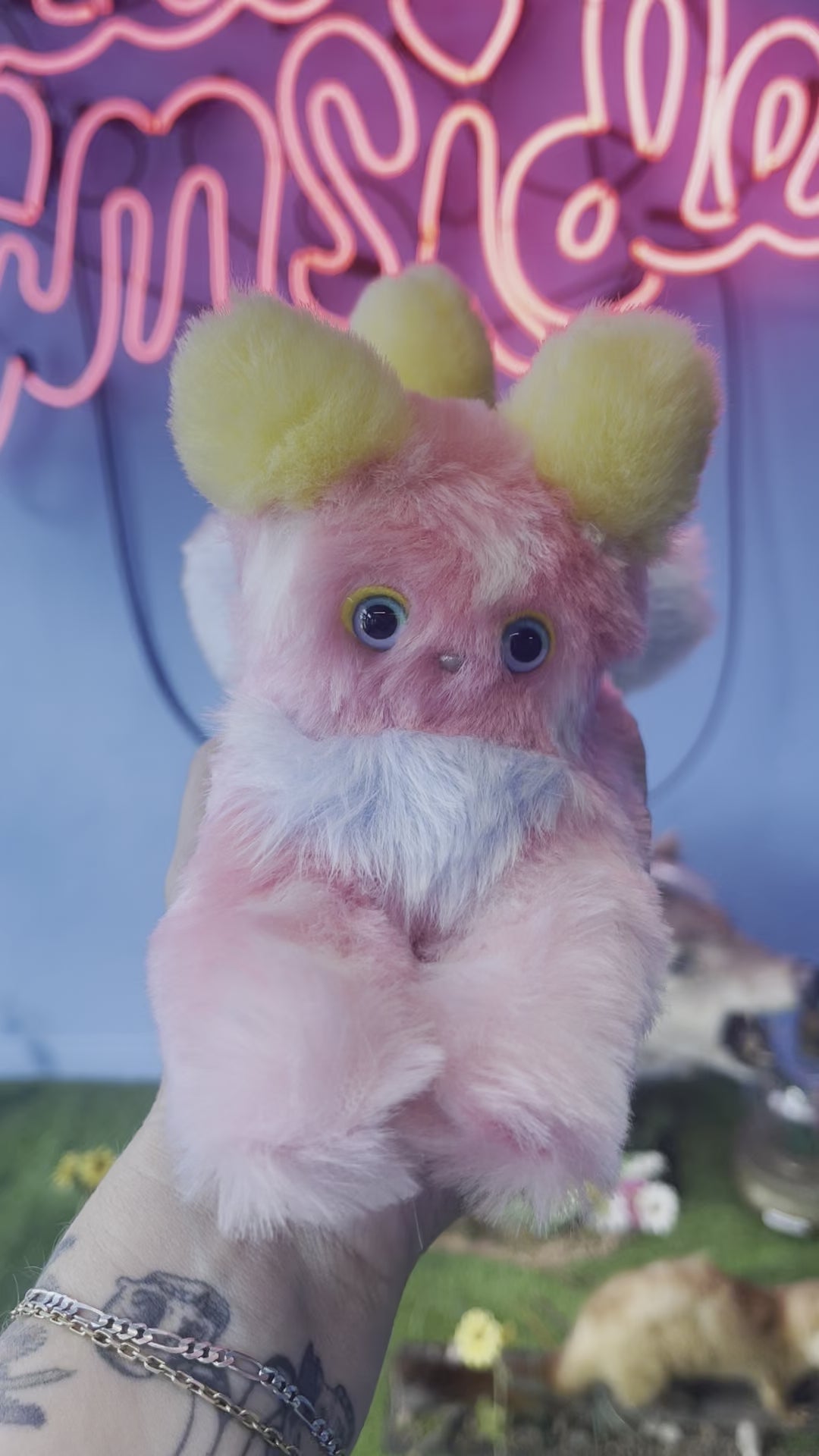 Strawberry Sherbet Cat Pixley's Oddities