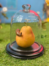 Load image into Gallery viewer, Slug on a Pear
