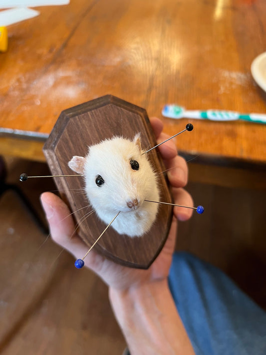 Rat Taxidermy Workshop with Divya, Nov 24th