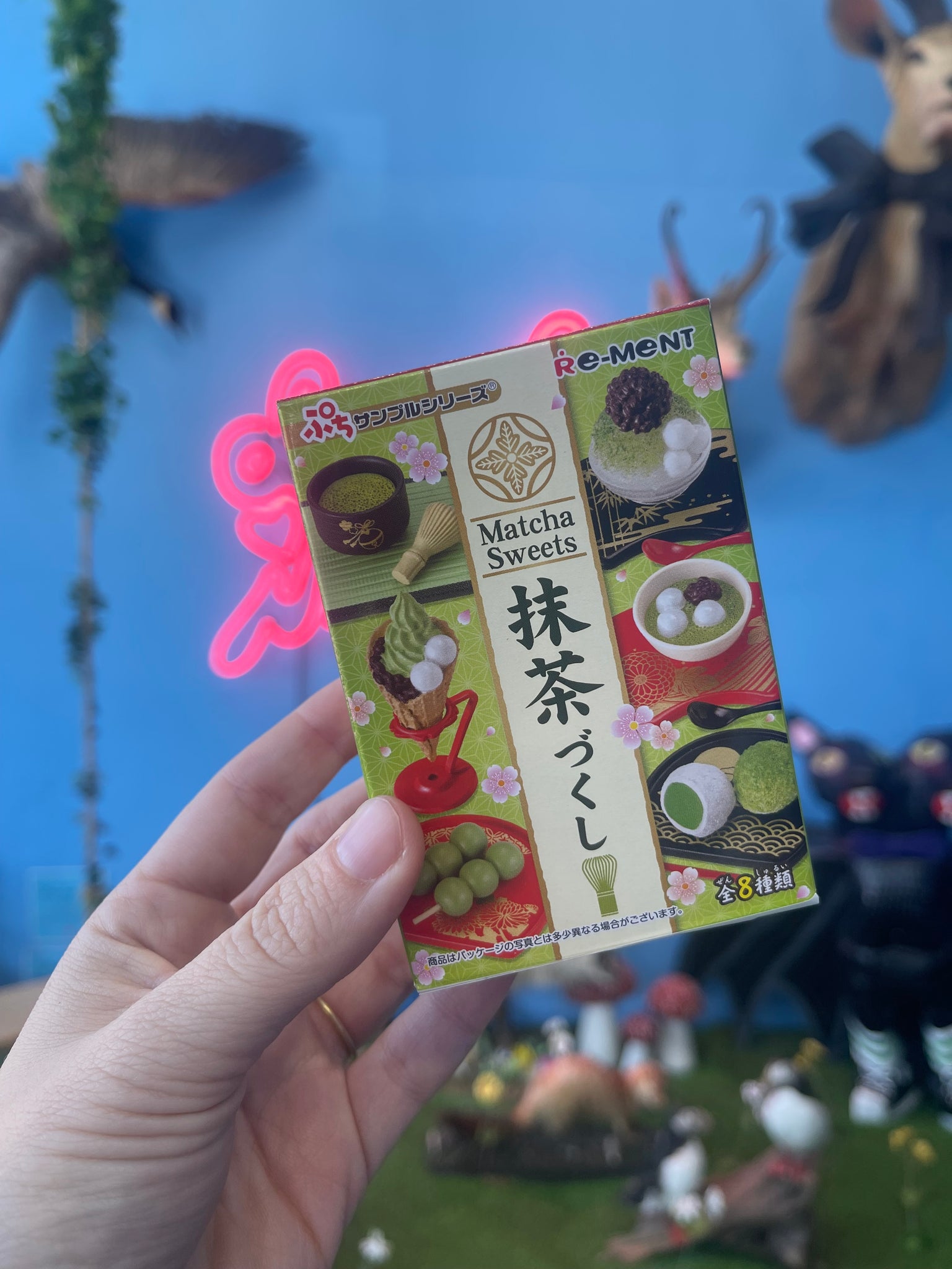 Matcha sweets blink box Pixley's Oddities