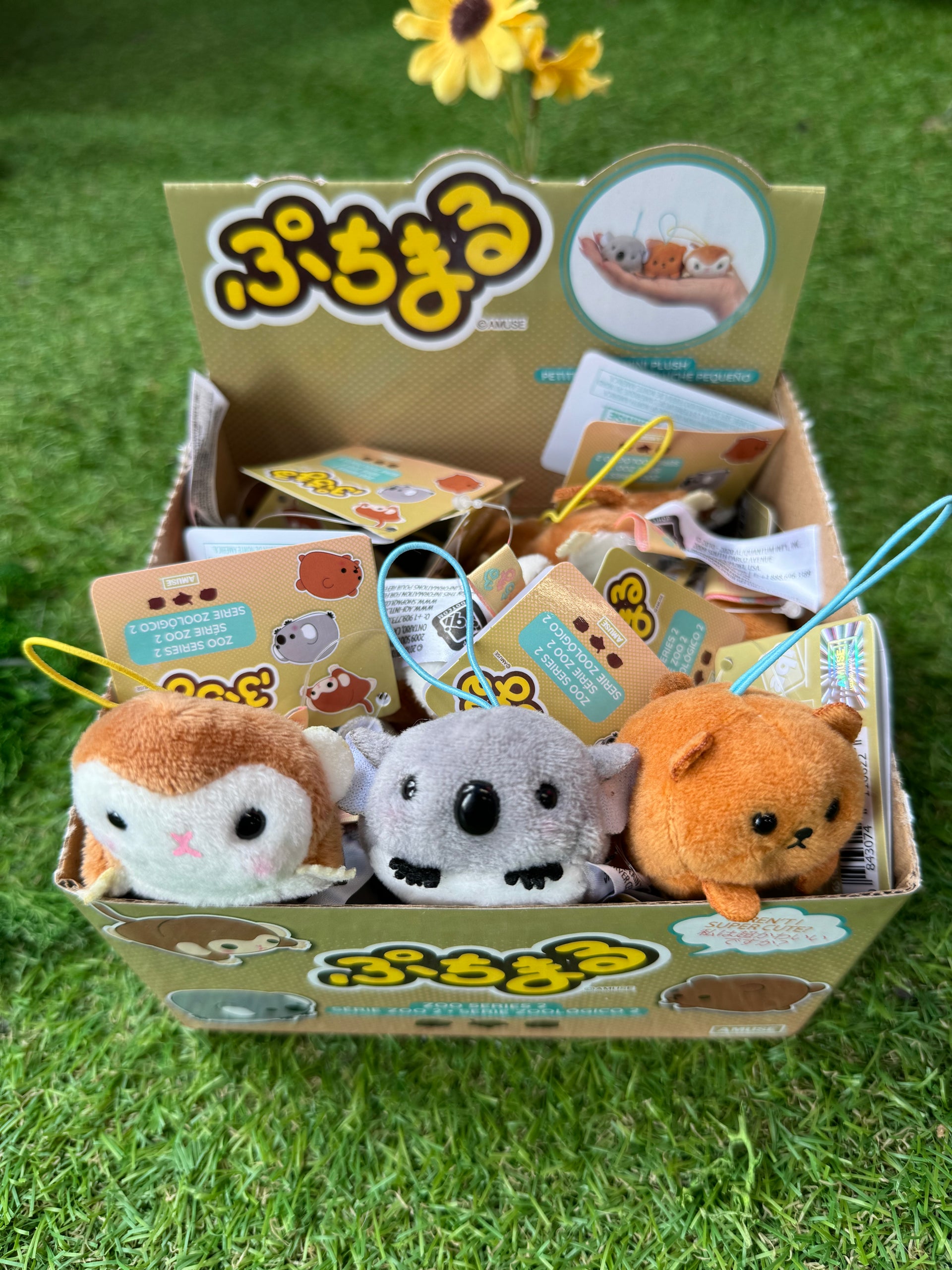 Amuse Puchimaru Plush Keychain - Zoo Series 2 – Pixley's Oddities