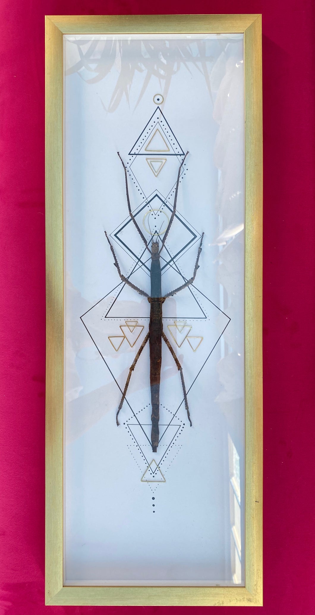 Large Framed Giant Stick Bug made by Prey and Profit