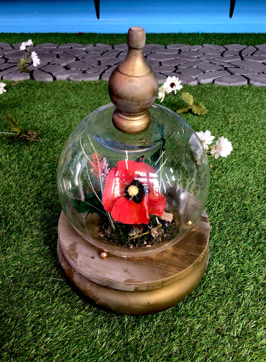 Poppy Dome